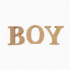 ニューボーンフォト セルフ 撮影 小物 レンタル - 『 BOY木製オブジェ 』- Newborn.Rental