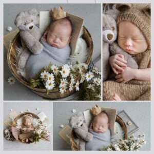 くまちゃん読書日和